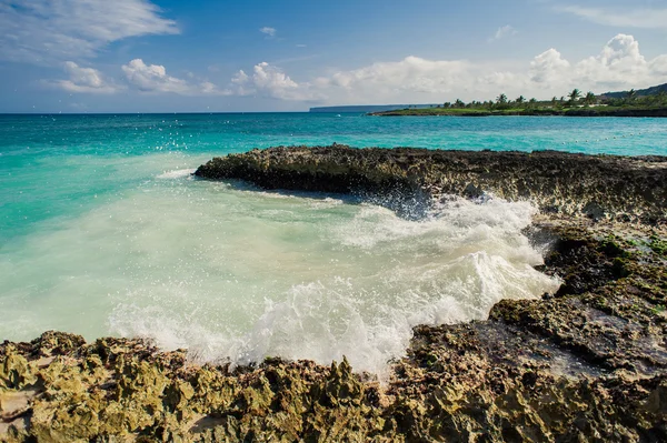 Wild Caribisch strand. Dominicaanse Republiek. tropisch strand, Dominicaanse Republiek. rustige resort. Palmbomen op de tropische strand, Caribische zee. strand op zonsondergang tijd op het eiland in Seychellen — Stockfoto