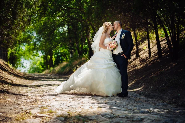 Sposo e Sposo al matrimonio Giorno camminando all'aperto sulla natura primaverile. Coppia di sposi, donna e uomo sposati felici che si abbracciano nel parco verde. Amare coppia di nozze all'aperto . — Foto Stock