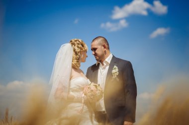 genç güzel düğün çifti çimen bir alana sarılma kulaklı.