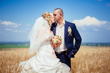 genç güzel düğün çifti çimen bir alana sarılma kulaklı.