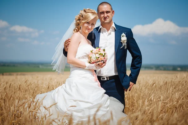 Junges schönes Hochzeitspaar umarmt sich auf einem Feld mit Grasohren. — Stockfoto