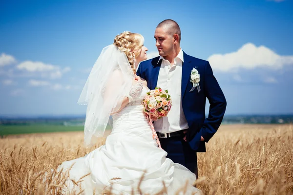 Jovem lindo casamento casal abraçando em um campo com grama encravada . — Fotografia de Stock