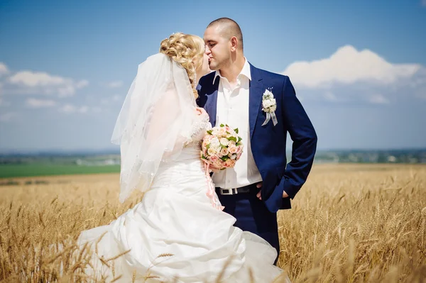 Junges schönes Hochzeitspaar umarmt sich auf einem Feld mit Grasohren. — Stockfoto