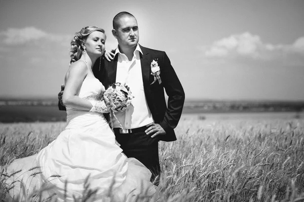 Jeune beau couple de mariage étreignant dans un champ avec de l'herbe oreille . — Photo