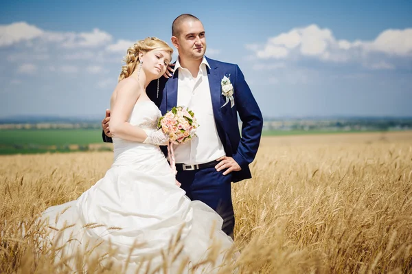 Young beautiful wedding couple hugging in a field with grass eared. — Stock Photo, Image