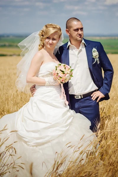 Joven hermosa boda pareja abrazando en un campo con hierba oreja . —  Fotos de Stock