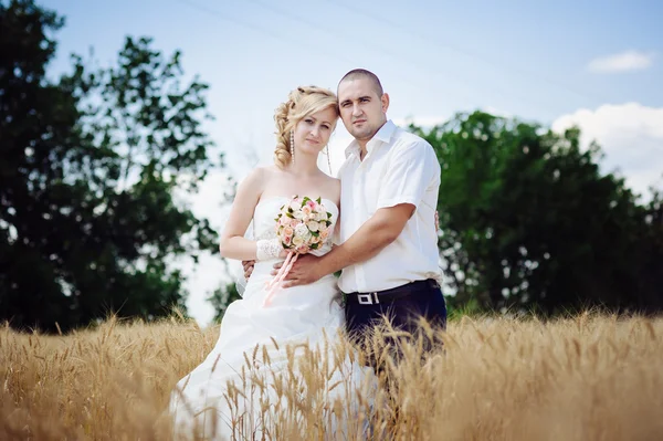 年轻美丽的婚礼夫妇在草地场中拥抱耳. — 图库照片