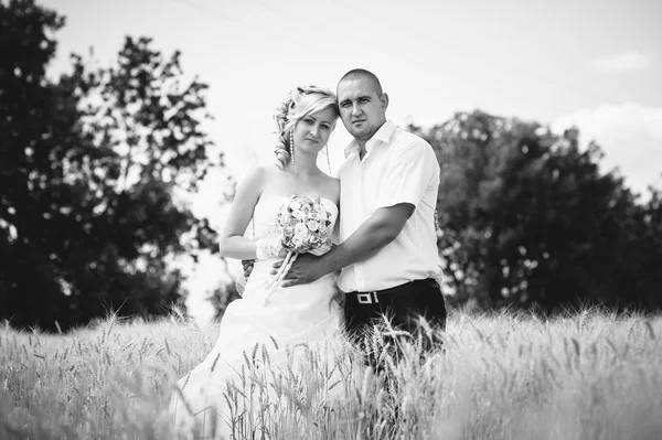 Giovane bella coppia di nozze che si abbraccia in un campo con erba orecchio . — Foto Stock