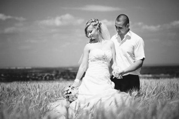 Jovem lindo casamento casal abraçando em um campo com grama encravada . — Fotografia de Stock