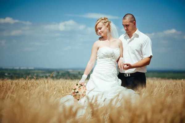 Joven hermosa boda pareja abrazando en un campo con hierba oreja . —  Fotos de Stock