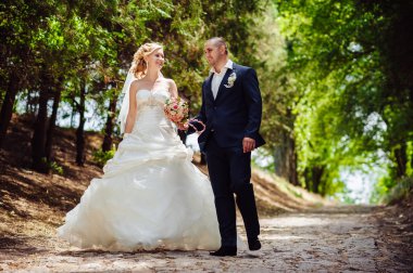 Açık havada bahar doğa üzerinde yürüme gün düğününde gelin ile damat. Gelin çift, mutlu yeni evli kadın ve yeşil park kucaklayan adam.