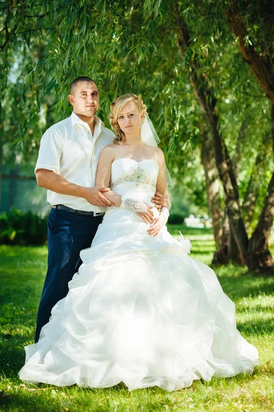 Novia con novio en el día de la boda caminando al aire libre en la naturaleza de primavera. Pareja nupcial, feliz mujer recién casada y hombre abrazándose en el parque verde . — Foto de Stock