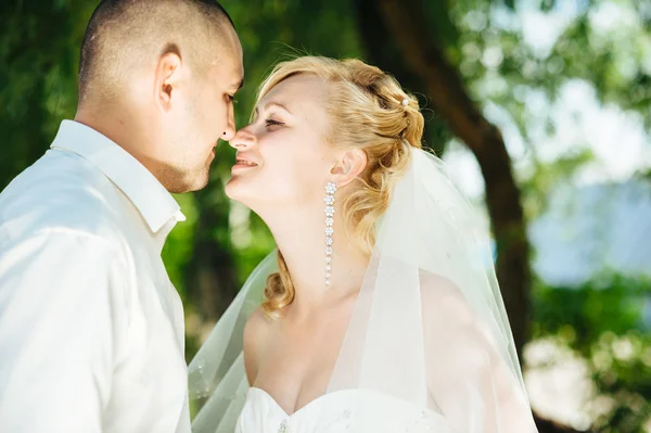 Noiva com noivo no dia do casamento andando ao ar livre na natureza de primavera. Casal nupcial, feliz mulher recém-casada e homem abraçando no parque verde . — Fotografia de Stock