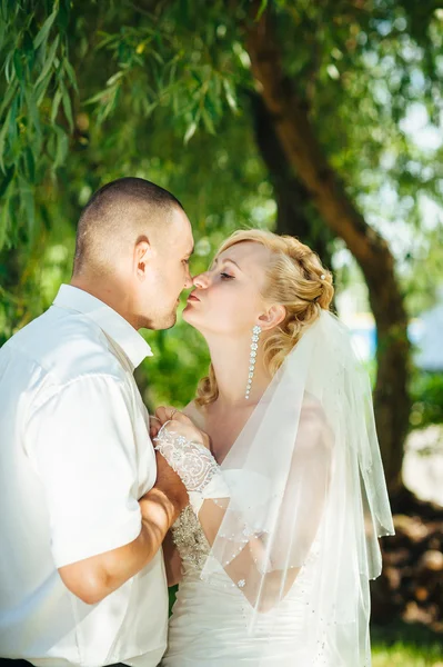 Menyasszony a vőlegény az esküvő nap séta kint a tavaszi természet. Nászutas pár, boldog Newlywed nő és férfi átfogó zöld park. — Stock Fotó