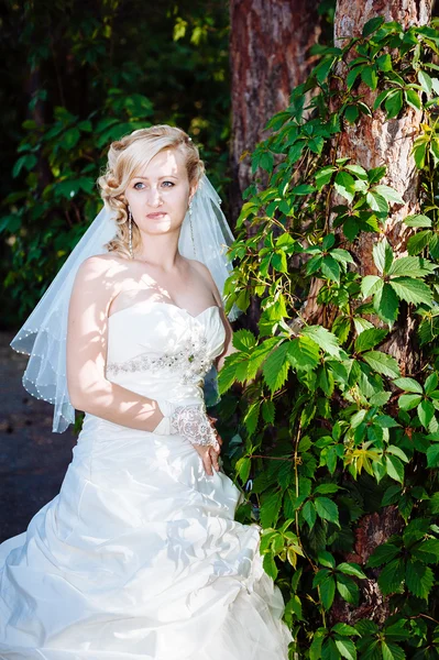 Menina bonita em um vestido de noiva sentado sozinho entre as rosas — Fotografia de Stock