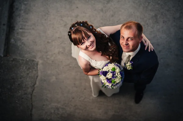 Newlyweds embracing and kissing. Top view — Stock Photo, Image