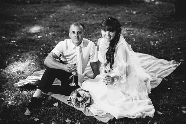 Couple just married sitting in park green grass with bouquet of flowers and wine glasses — Stock Photo, Image