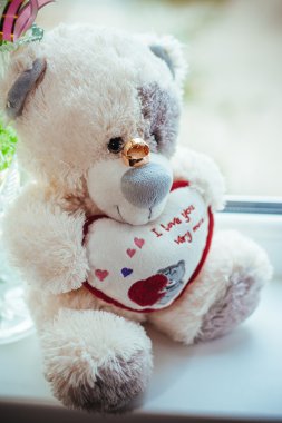 Oyuncak ayı alyans ile fotoğrafı