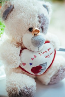 Oyuncak ayı alyans ile fotoğrafı