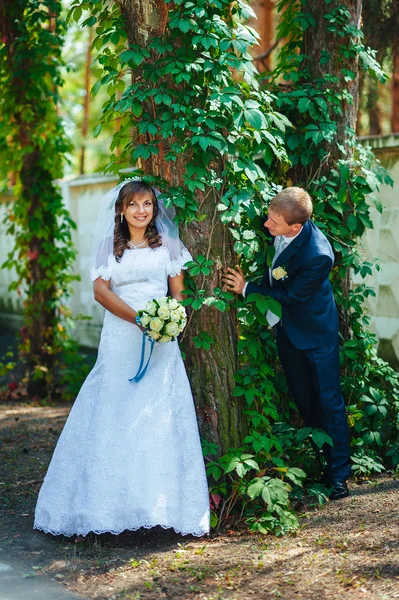 Bruden och brudgummen på bröllop dag promenader utomhus på vår natur. Brudparet, lycklig nygift par omfattar i grön park. — Stockfoto