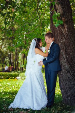 Gelin ve damat gün açık havada yürüyüş düğününde Doğa bahar. Gelin çift, mutlu yeni evli çift yeşil park kucaklayan.