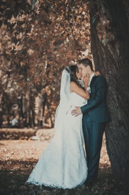 Gelin ve damat gün açık havada yürüyüş düğününde Doğa bahar. Gelin çift, mutlu yeni evli çift yeşil park kucaklayan.