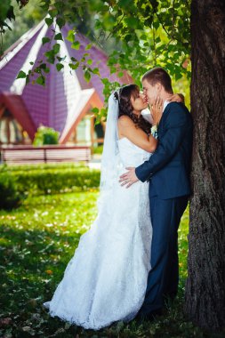 Gelin ve damat gün açık havada yürüyüş düğününde Doğa bahar. Gelin çift, mutlu yeni evli çift yeşil park kucaklayan.