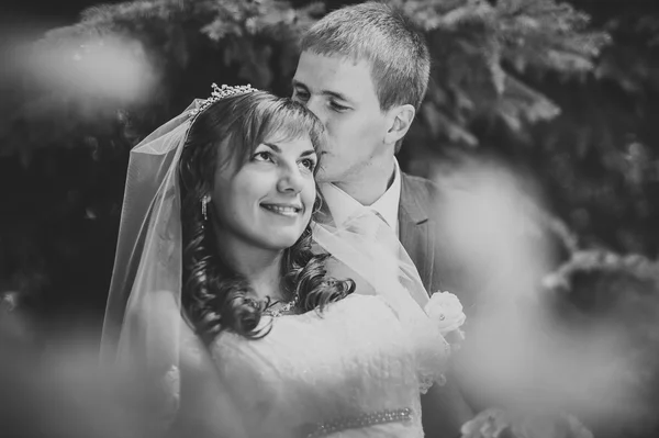 Noiva e noivo no dia do casamento andando ao ar livre na natureza de primavera. Casal nupcial, casal recém-casado feliz abraçando no parque verde . — Fotografia de Stock