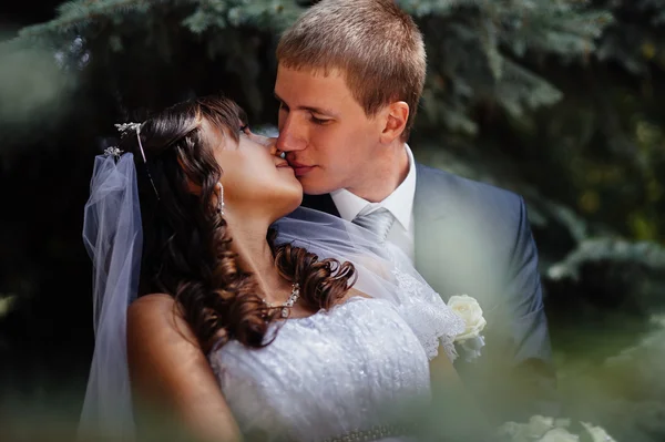 Mariée et marié le jour du mariage Promenade en plein air sur la nature printanière. Couple nuptial, heureux couple nouvellement marié embrassant dans le parc vert . — Photo