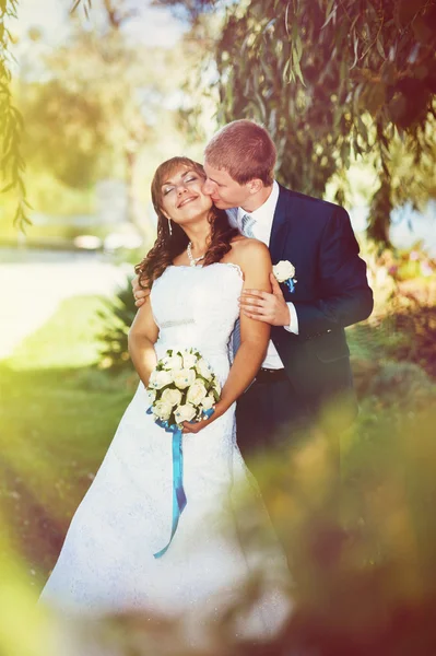 Noiva e noivo no dia do casamento andando ao ar livre na natureza de primavera. Casal nupcial, casal recém-casado feliz abraçando no parque verde . — Fotografia de Stock