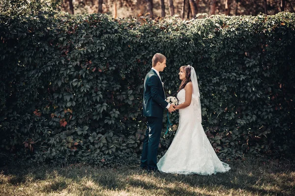 Menyasszony és a vőlegény az esküvő nap séta kint a tavaszi természet. Nászutas pár, boldog Newlywed pár átfogó zöld park. — Stock Fotó