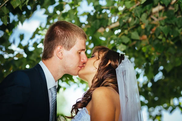 Menyasszony és a vőlegény az esküvő nap séta kint a tavaszi természet. Nászutas pár, boldog Newlywed pár átfogó zöld park. — Stock Fotó