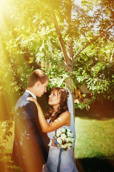 Novia y novio en el día de la boda caminando al aire libre en la naturaleza de primavera. Pareja nupcial, feliz pareja recién casada abrazándose en el parque verde . — Foto de Stock