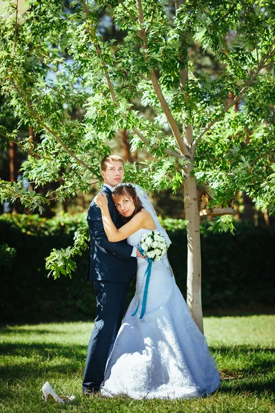 Gelin ve damat gün açık havada yürüyüş düğününde Doğa bahar. Gelin çift, mutlu yeni evli çift yeşil park kucaklayan. — Stok fotoğraf