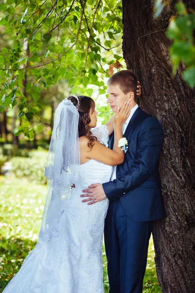 日の屋外歩行を結婚式で新郎新婦は春自然です。ブライダル カップルは、緑豊かな公園で抱きしめる幸せな新婚カップル. — ストック写真