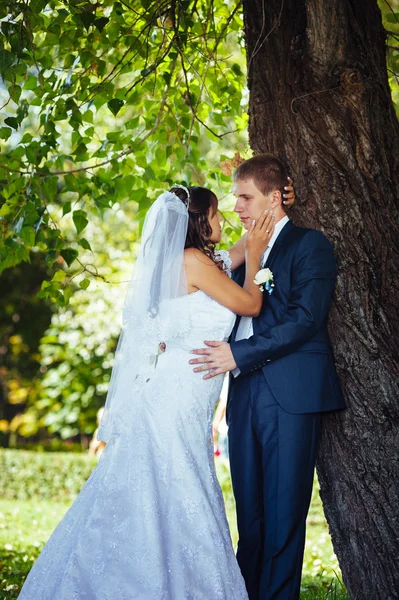 Gelin ve damat gün açık havada yürüyüş düğününde Doğa bahar. Gelin çift, mutlu yeni evli çift yeşil park kucaklayan. — Stok fotoğraf