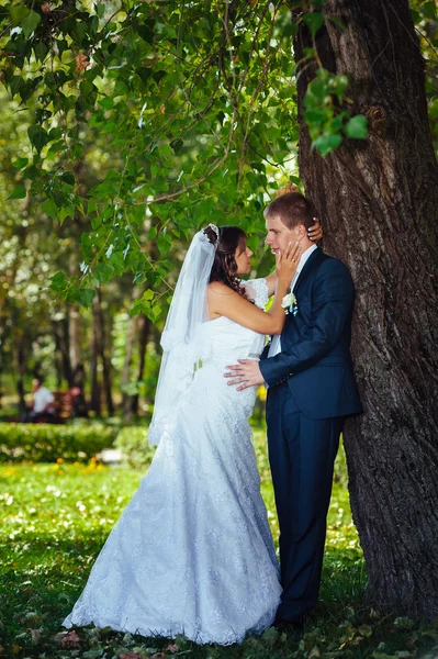 Bride and Groom at wedding Day walking Outdoors on spring nature. Bridal couple, Happy Newlywed couple embracing in green park. — Stock Photo, Image