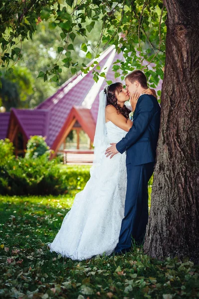 Νύφη και το γαμπρό στο περπάτημα σε εξωτερικούς χώρους στη ημέρα γάμου άνοιξη φύση. Νυφικό ζευγάρι, ευτυχής νεόνυμφο ζευγάρι αγκαλιάζει στο καταπράσινο πάρκο. — Φωτογραφία Αρχείου