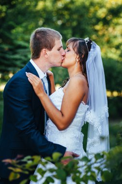 Gelin ve damat gün açık havada yürüyüş düğününde Doğa bahar. Gelin çift, mutlu yeni evli çift yeşil park kucaklayan.