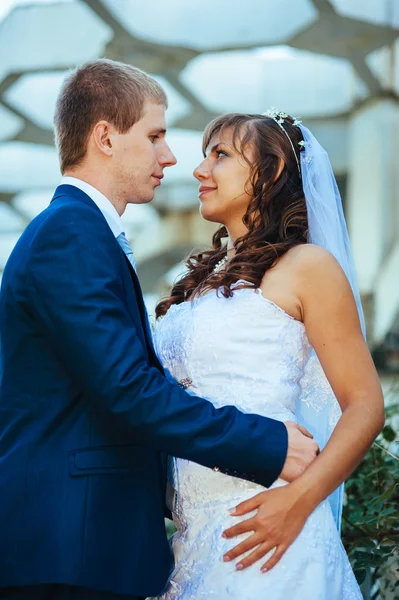 Novia y novio en el día de la boda caminando al aire libre en la naturaleza de primavera. Pareja nupcial, feliz pareja recién casada abrazándose en el parque verde . — Foto de Stock