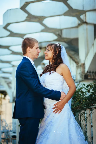 Bride and Groom at wedding Day walking Outdoors on spring nature. Bridal couple, Happy Newlywed couple embracing in green park. — Stock Photo, Image