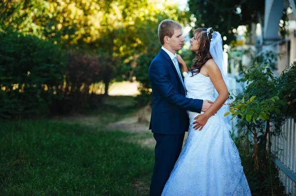 Noiva e noivo no dia do casamento andando ao ar livre na natureza de primavera. Casal nupcial, casal recém-casado feliz abraçando no parque verde . — Fotografia de Stock