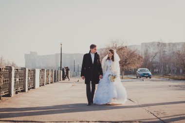 Gelin ve damat Gölü kıyısındaki bir parkın içinde sarılma. Düğün denizin kenarında. Balayı.