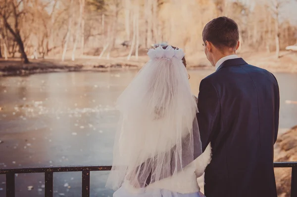 Жених и невеста обнимаются на берегу озера в парке. Свадьба у моря. Медовый месяц . — стоковое фото