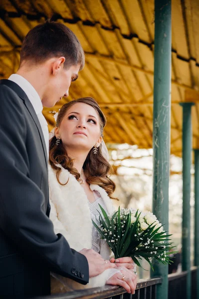 Gelin ve damat Gölü kıyısındaki bir parkın içinde sarılma. Düğün denizin kenarında. Balayı. — Stok fotoğraf