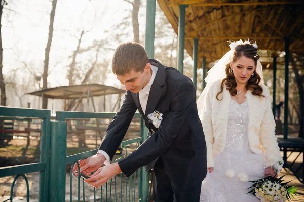 Nevěsta a ženich objímání na břehu jezera v parku. Svatba moři. Líbánky. — Stock fotografie