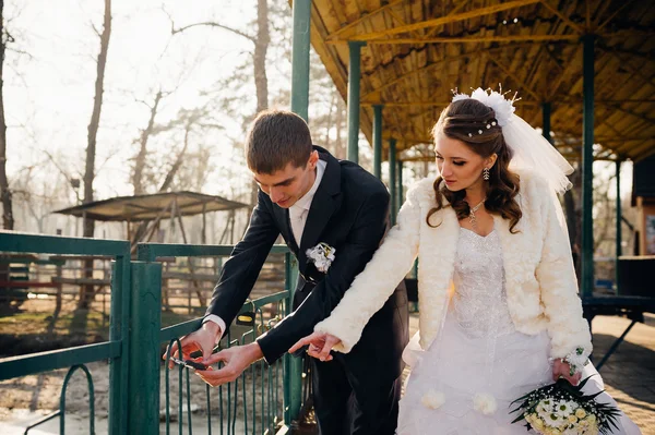 A noiva e o noivo abraçam-se na costa do Lago em um parque. Casamento junto ao mar. Lua de mel . — Fotografia de Stock