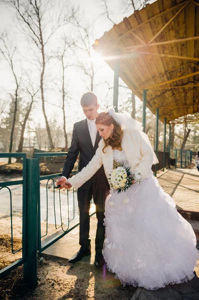 Gelin ve damat Gölü kıyısındaki bir parkın içinde sarılma. Düğün denizin kenarında. Balayı. — Stok fotoğraf