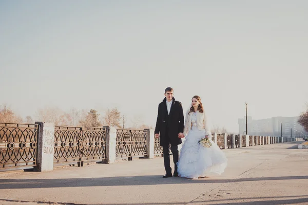 The bride and groom hugging on shore of Lake in a park. Wedding by the sea. Honeymoon. — Stock Photo, Image