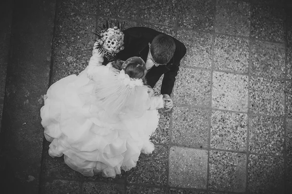 Elegant bride and groom posing together outdoors on a wedding day — Stock Photo, Image